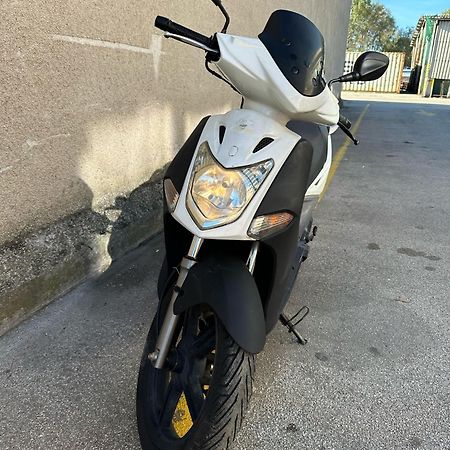 Villa Andrea 科佩尔 外观 照片